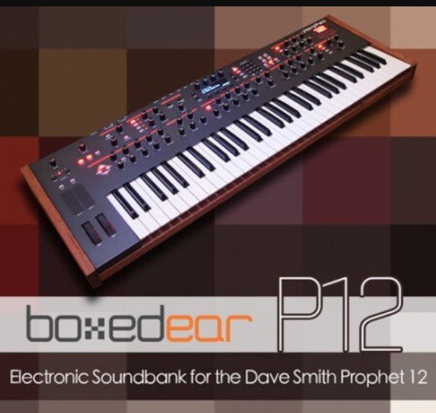 Boxed Ear P12 Prophet 12 Bank