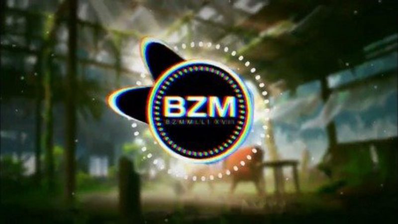 Bzmmlli XVII RandomStep Vol.1