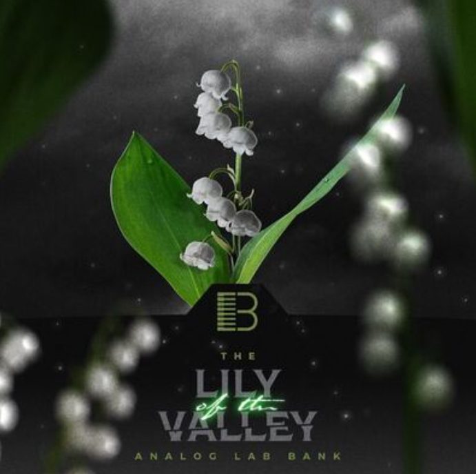 Brandon Chapa Lily Of The Valley (Analog Lab Bank)