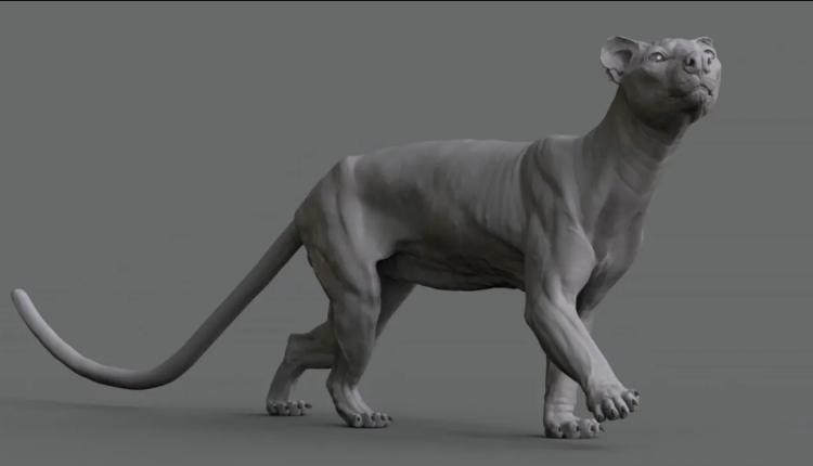 The Gnomon Workshop – Animal Anatomy – Modeling a Fossa