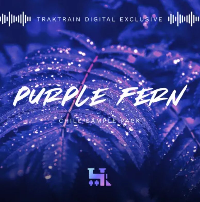 TrakTrain Purple Fern Chill