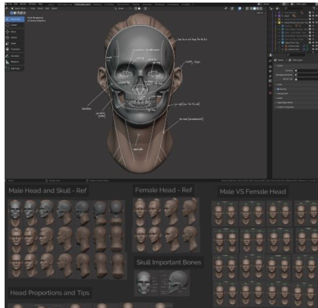 Master Sculpting Heads – 3D Blender Course – New Update! (V1.4)