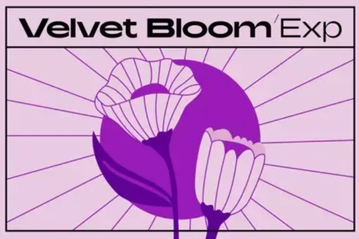 Native Instruments Velvet Bloom Maschine Expansion