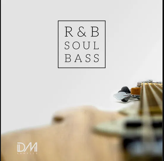 Dm Samples RnB Soul Bass