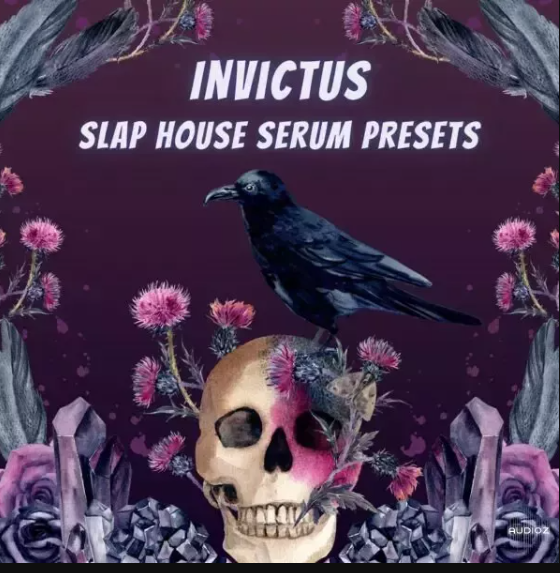 Infinity Audio Invictus Slap House SERUM PRESETS