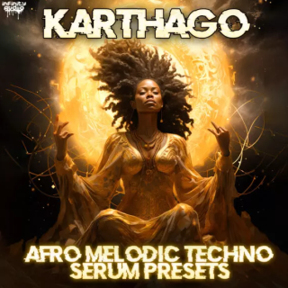 Infinity Audio Karthago Afro Melodic Techno Serum Presets