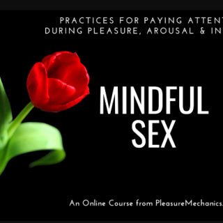 Plesure Mechanics – Mindful Sex