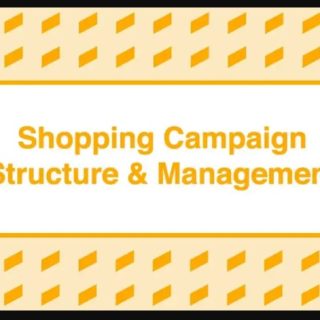 Take Some Risk – Shopping Campaign Structure and Management