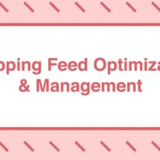 Take Some Risk – Shopping Feed Optimization and Management