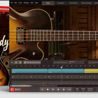 Toontrack Hollowbody EBX v1.0.0