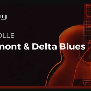 Truefire Mike Tolle's Piedmont & Delta Blues