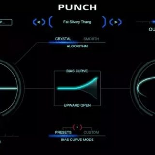 Zynaptiq PUNCH