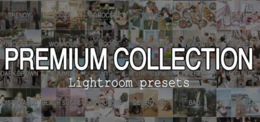 Premium Collection 100 Lightroom Presets