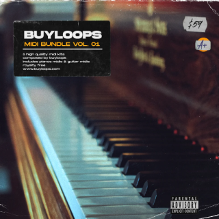 Buyloops MIDI Bundle Vol.1
