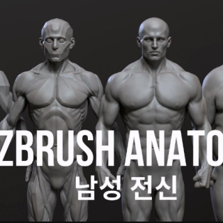 CGBump – Zbrush Senior Anatomy (Male)