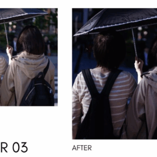 Faizal Westcott – Analog 2024 (LR Desktop & Mobile)