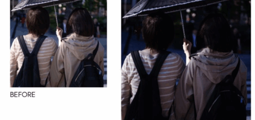 Faizal Westcott – Analog 2024 (LR Desktop & Mobile)