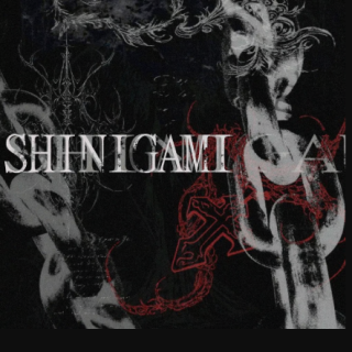 Sincere Shinigami Drumkit