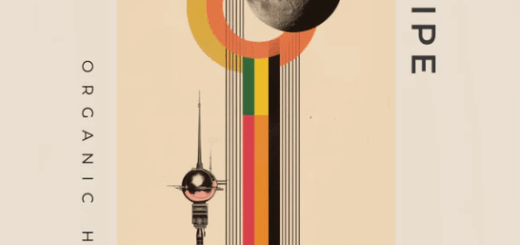 Zenhiser Stripe Organic House