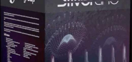 D16 Group SilverLine Collection 2025