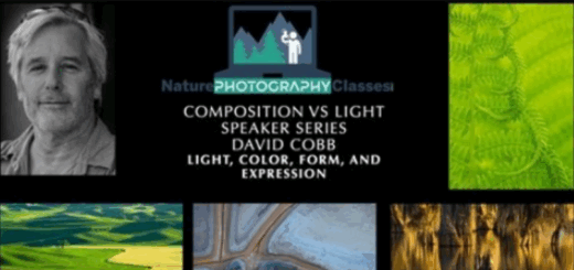 Nature Photography Classes – David Cobb – Light, Color, Form, and Expression