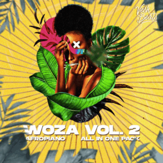 Vesh Beats Woza Vol 2 Amapiano And Afrobeats