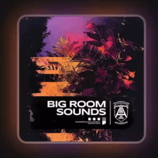 Tomorrowland Academy Sample Pack : Big Room Sounds