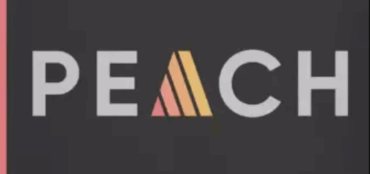 510k Arts PEACH v1.0.0