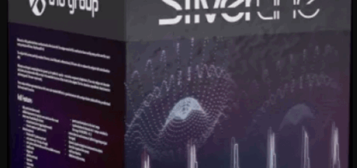 D16 Group SilverLine Collection 2025.9